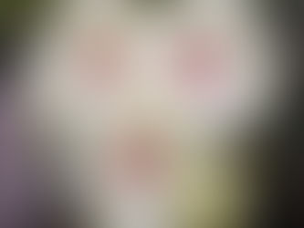 Join Me On Saturday, August 14, 2021 For An Open House Hibiscus Event