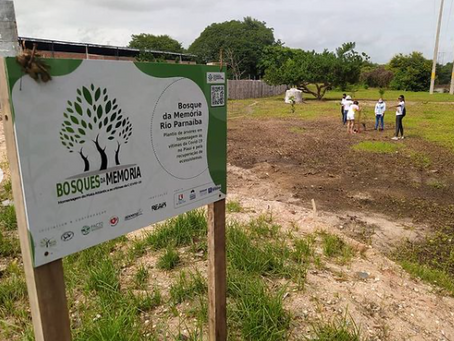 Bosque da Memória Rio Parnaíba