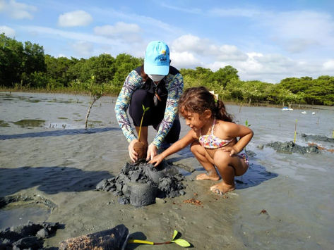 Mais uma ação de replantio de mangue, no Bosque da Memória Verde Vida