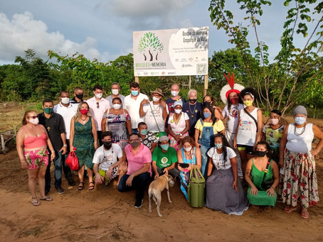 O primeiro Bosque da Memória da Bahia