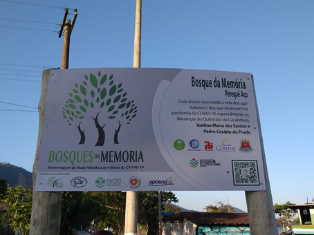 Bosque Pereque Açu -Instituto da Árvore Ubatuba