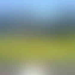 Newlands