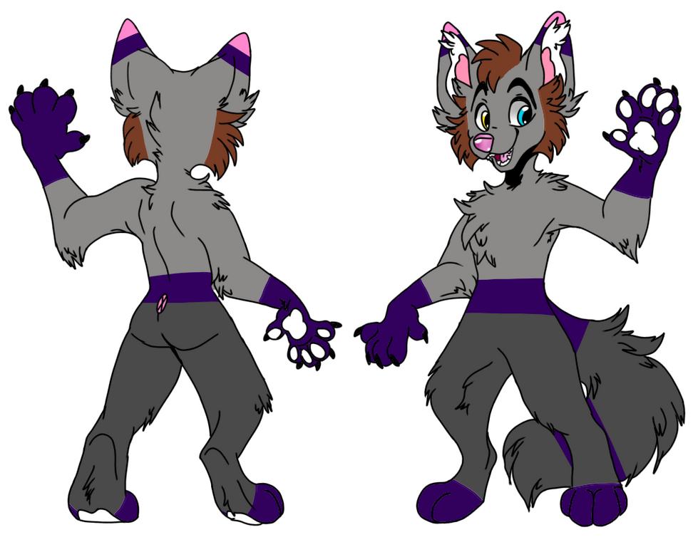 Image de référence