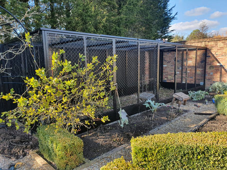 All part of your 5-a-day…