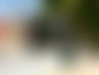 މާފުށީ ކައުންސިލަރަކަށް ހަމަލާދީފި