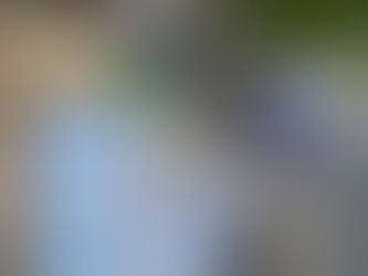 އިންޑިއާއަށް ބަރޯސާވުމުން ބިސް، ފިޔާ އަދި އަލުވީގެ އަގު އުފުލެނީ