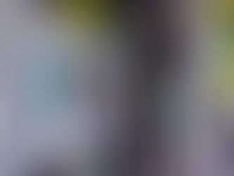 އެސްޑީއެފްސީ ގެ އޮފީސް ފަޅާފައިފި