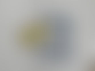 ބޭނުން ނުކޮށް ހުރި ސްޓޭމްޕްތަކަށް ފައިސާ ދެނީ