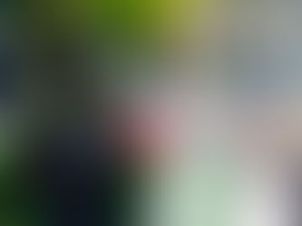 ވެމްކޯގެ މުވައްޒަފަކު ގެއެއްގެ ސިޑި މައްޗަށް ކުޑަކަމުދާ ވީޑިއޯއެއް ޢާންމުވެއްޖެ