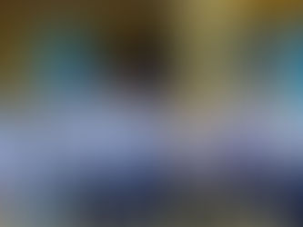 ބައިލައްކައަށްވުރެ ގިނަ މީހުން ސޮޔާއެކު ބަރުލަމާނީއަށް ބަދަލުވާނެ ތަ؟