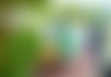 ކޯވިޑްގެ ރެންޑަމް ސާމްޕަލް ދޭން ރައްޔިތުން ދެކޮޅު ހަދަންފަށައިފި