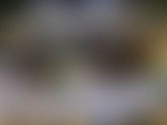 ވާދޫ ކައުންސިލް އިދާރާ ކުރިމަތީ އަނެއްކާ ވެސް އިހުތިޖާޖު