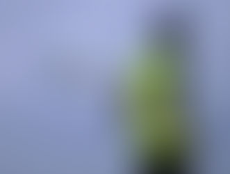 މޯލްޑިވިއަން ފްލައިޓު ހައިޖެކްކުރާނެ ކަމަށް ބުނި މީހާ ހައްޔަރުކޮށްފި