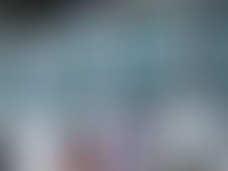 ރައީސް ޔާމިންގެ ގެކޮޅު ކައިރީގައި ޕާކުކުރުން މަނާކޮށްފި