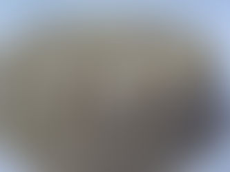 ކަނަމަދު ކޭކު ރެސިޕީ