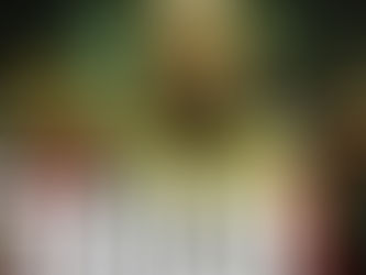 މަނީ ހައިސްޓް ސީޒަން 5ގެ ޓްރެއިލާރ ރިލީޒް ކޮށްފި