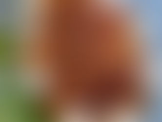 އައްޑޫ ހަވާދުލީ އަވަސް ބިރިޔާނީ