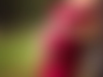 ދަރިން ހޯދުން މަޑުޖައްސާލަން އަންގައިފި