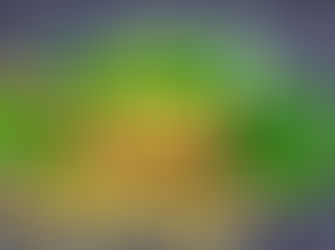 ވިހަދަނޑީގެ ދުޅަ މަޑުކުރުމަށް އޯބަތުން ފަރުވާ ކުރެވިދާނެ