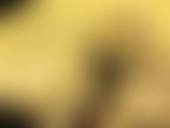 ސަޢޫދީގެ ވަފުދެއް ސަލްމާން މިސްކިތް ހުޅުވާ ތާރީޚު ކަނޑައެޅުމަށް ވަޑައިގެންފި