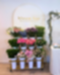 bloom bar for rent.png