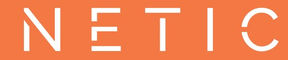 NETIC Logo