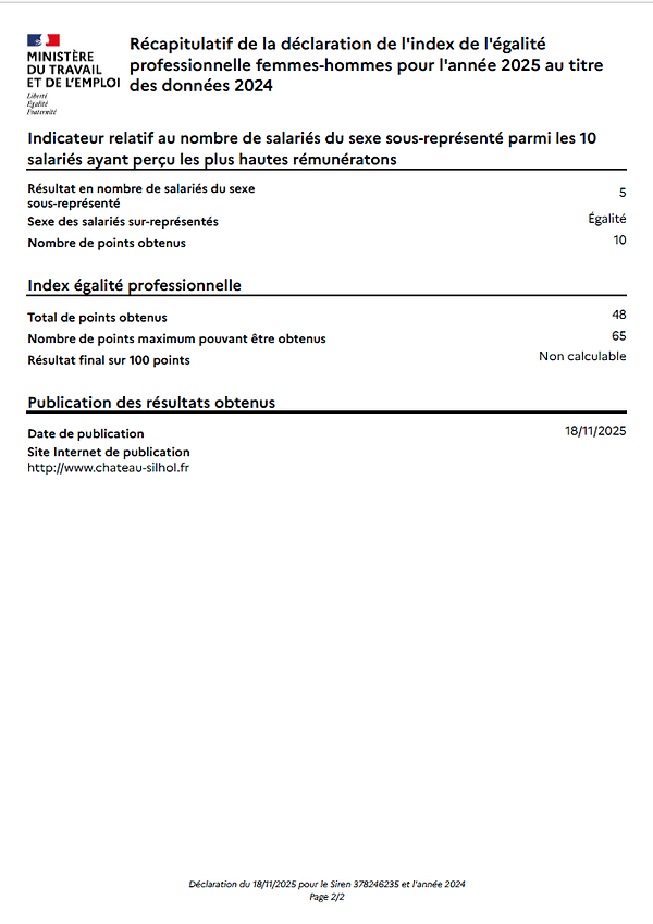 Récapitulatif déclaration égalité 2024-2025 (2).png