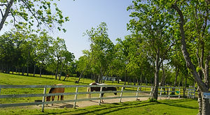 DSC08476.JPG