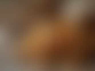 Patchouli for Grounding + Prosperity: Uses, Meanings, and Easy Ways to Work With It