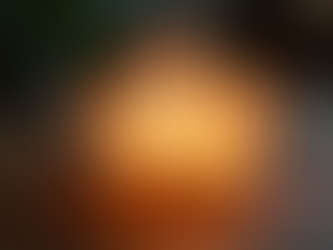 Maximize Your Rewards with Our Loyalty Program