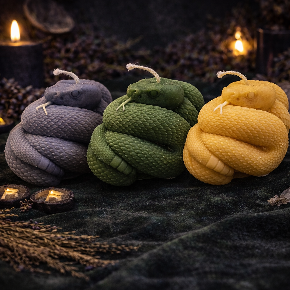 Thumbnail: Coiled Snake Candle