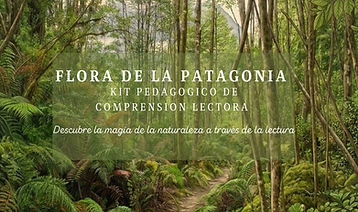 Laminas de comprensión lectora Kiñewen - F.A 3000.jpg