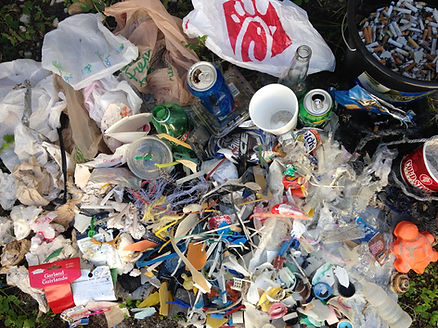 Example of a marine litter beach clean-up survey