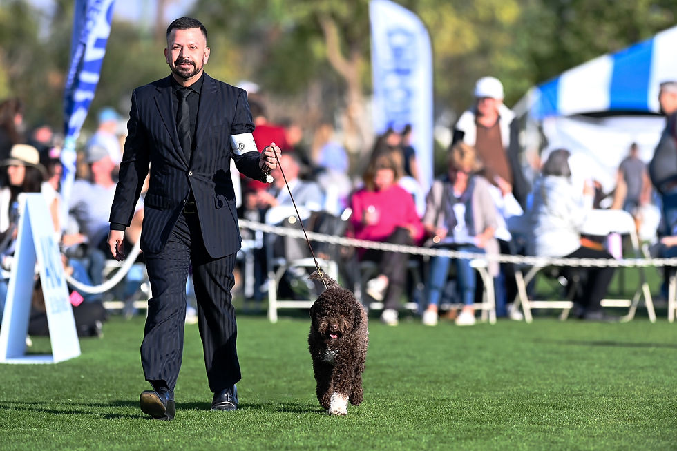 Congratulations Trey and Orso! Great performance at the Kennel Club of Palm Springs