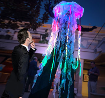 Beach 	Nautical	Jellyfish	LED	Stilts	Stilt Walker	Lawn	Light Up	Sea	Ocean	Corporate Entertainment
