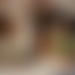 Explore the Historical Charm of Hotels in France