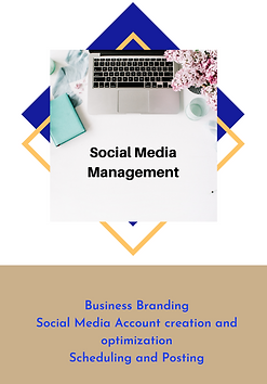 Social Media Management, Virtual Assistance, Freelancer