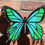 Thumbnail: Large teal and green butterfly painting