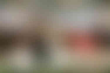 lion dances during wedding reception