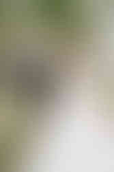 wedding first look with bride and groom