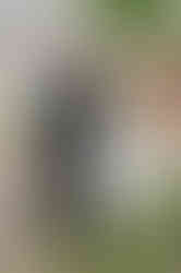 Faux first look with groom and groomsmen