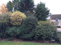 B2E51FC0-7107-456D-B040-DE6BD7946406