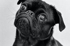 pexels-charles-1851164_edited.jpg
