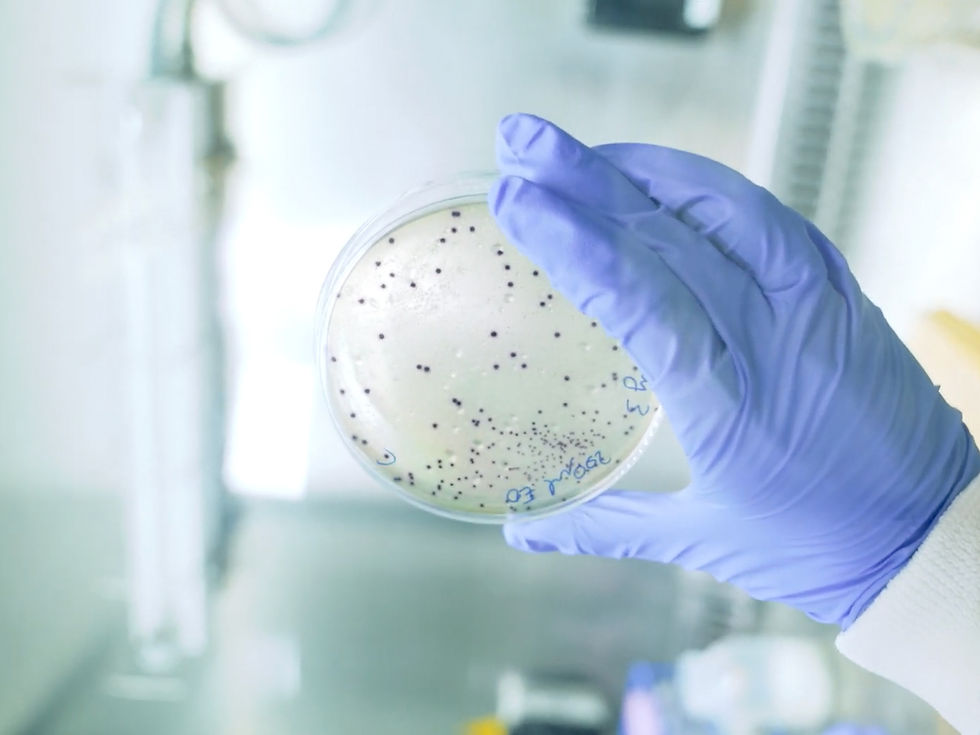 boobybiome microbiome research lab petri dish