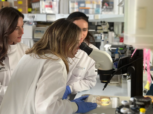 BoobyBiome founders Dr. Lydia Mapstone, Dr. Sioned Jones, and Dr. Tara O’Driscoll wearing lab coats in the laboratory, looking down a microscope.