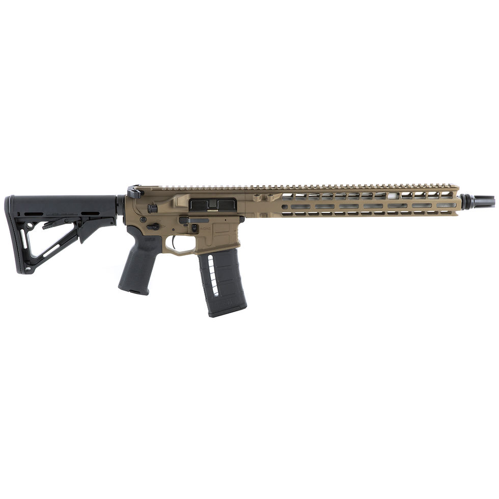 Thumbnail: RADIAN MODEL 1, 14.5" & 16", 223