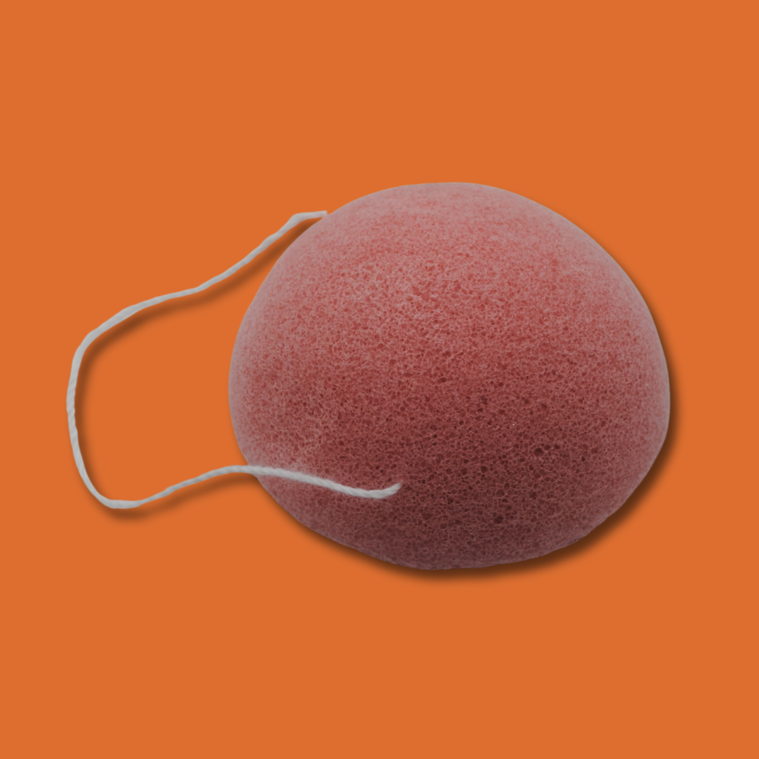 Facial Konjac Sponge