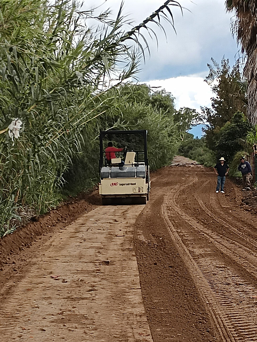 IMG_20240624_141220_305