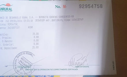 Ejemplo Boleta.jpg