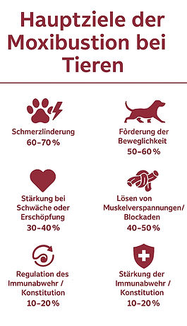 Hauptziele der_edited.jpg